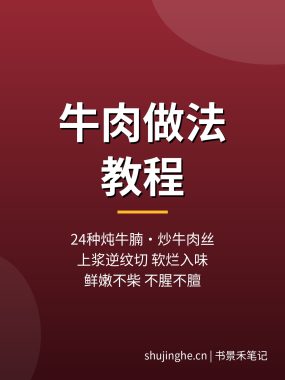牛肉做法教程：24种炖牛肉炒牛肉丝牛腩做法，夸克网盘下载