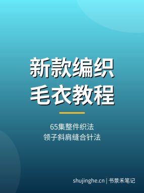 新款编织毛衣教程【65集】领子前片斜肩门襟圆领收针缝合罗纹针法夸克网盘下载