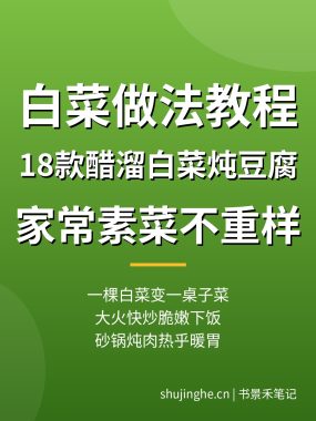 白菜做法教程18款：醋溜白菜炖豆腐，家常素菜天天不重样 夸克网盘下载
