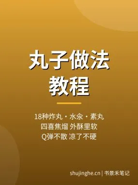 丸子做法教程：18种炸萝卜丸子四喜丸子水汆丸子做法，夸克网盘下载