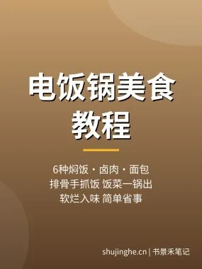 电饭锅美食教程：6种电饭锅焖饭卤肉面包手抓饭做法，夸克网盘下载