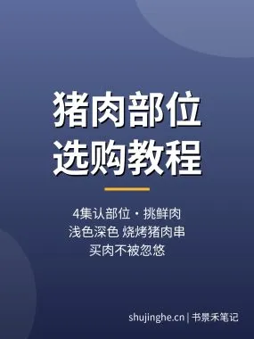 猪肉部位选购教程：4集教你认清各部位挑选新鲜猪肉，夸克网盘下载